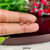 EAR 491