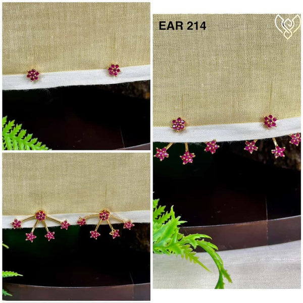 EAR 214