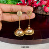 EAR 353
