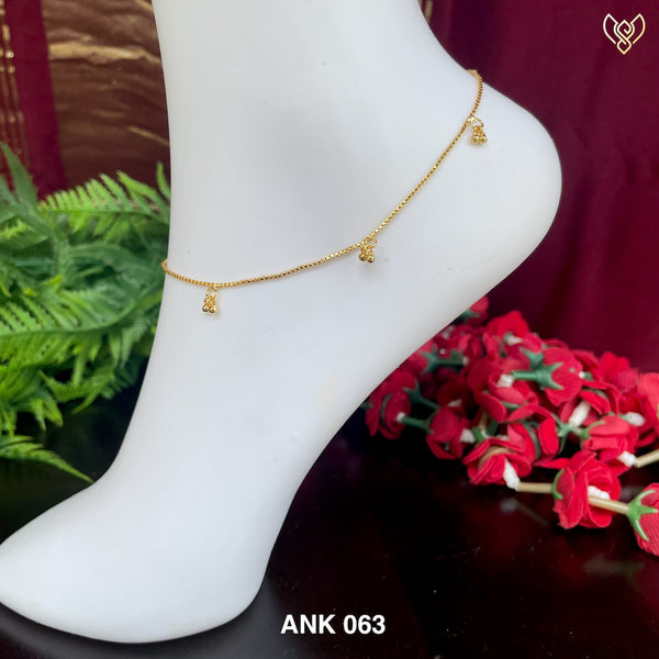 ANK 063