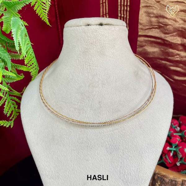 HASLI