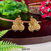 EAR 447