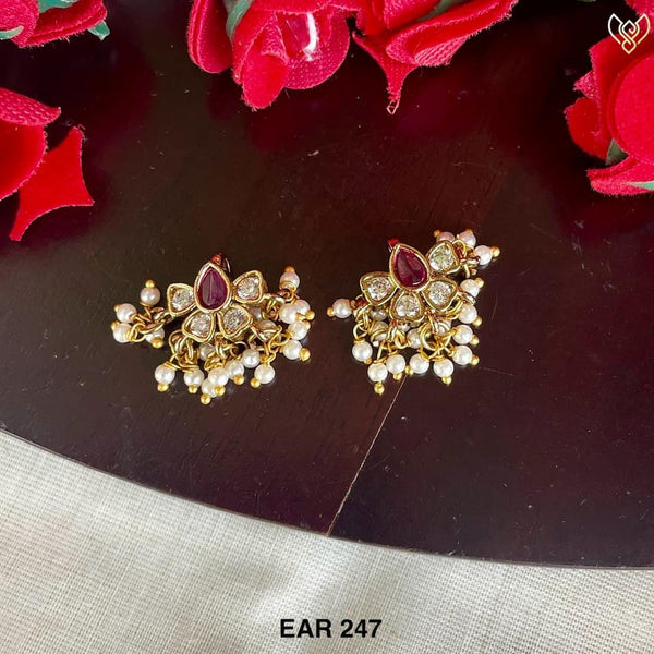 EAR 247