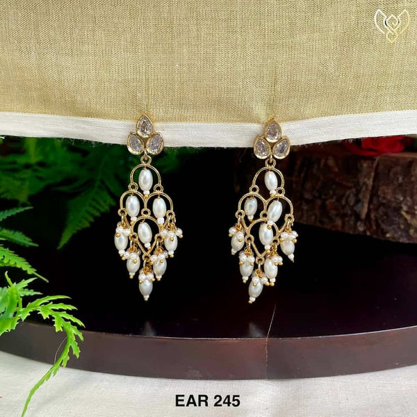 EAR 245