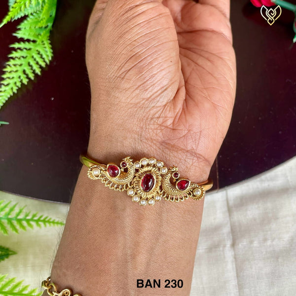 BAN 230