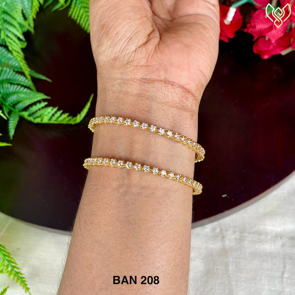 BAN 208