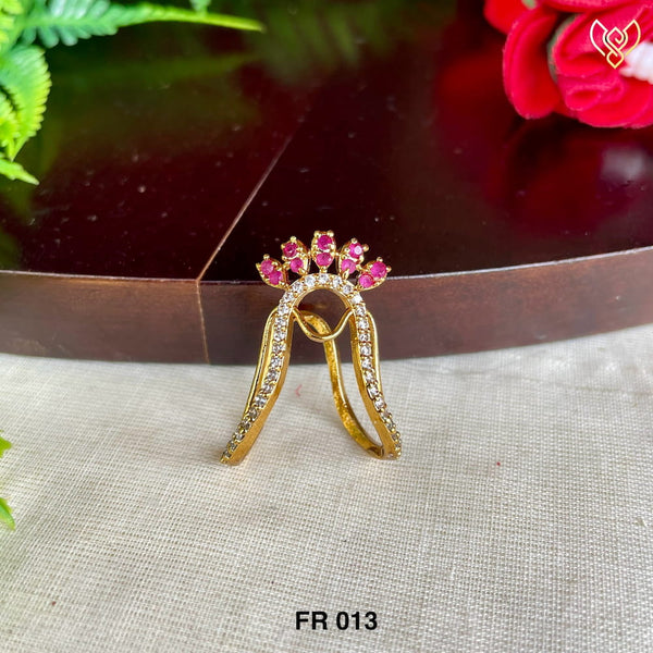 FR 013