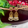 EAR 497