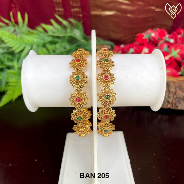 BAN 205