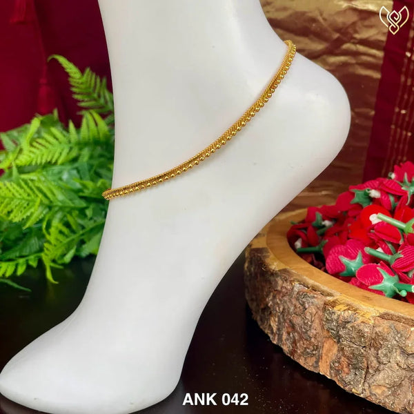 ANK 042