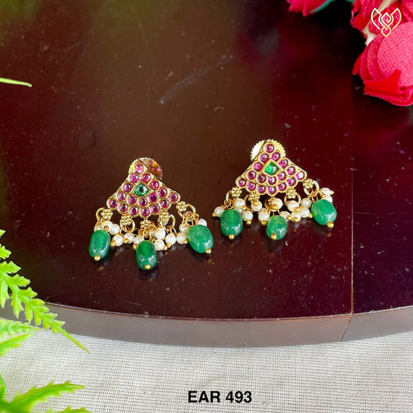 EAR 493
