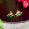 EAR 493