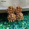 EAR 093