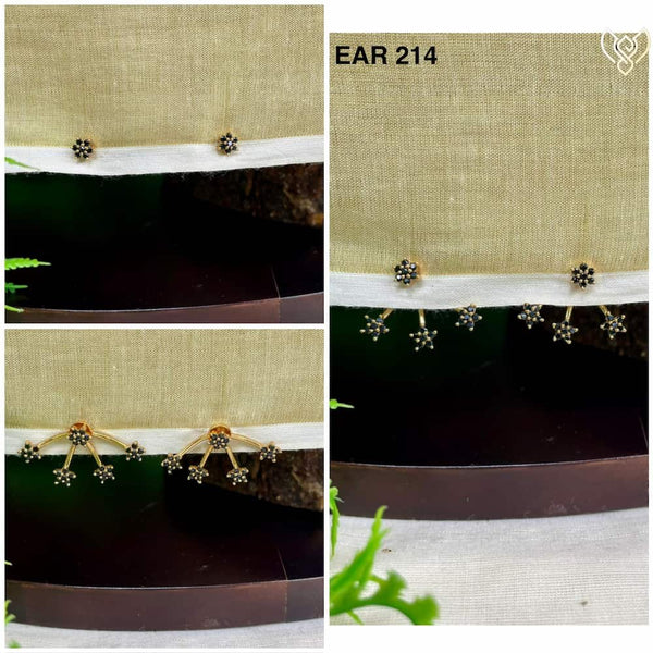 EAR 214