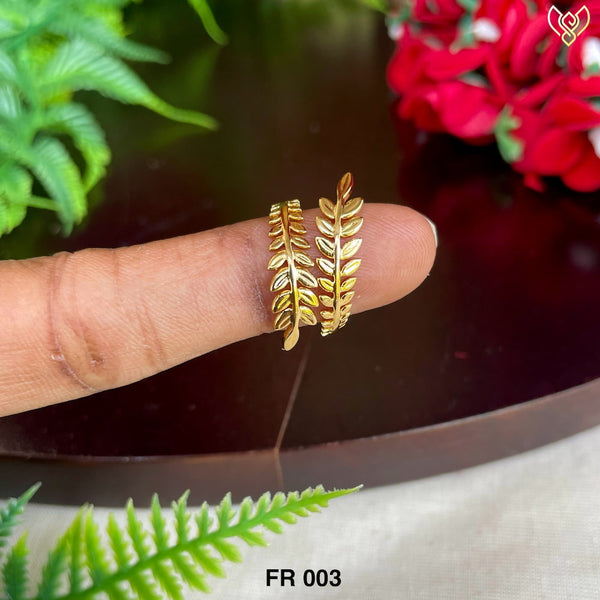 FR 003