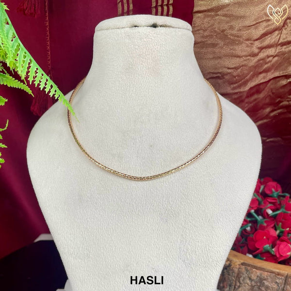 HASLI