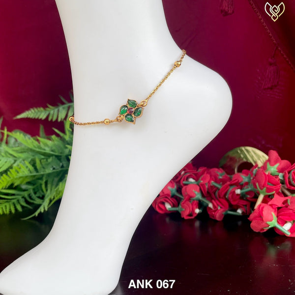 ANK 067