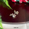 EAR 437