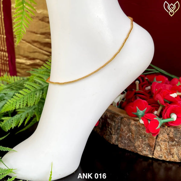 ANK 016