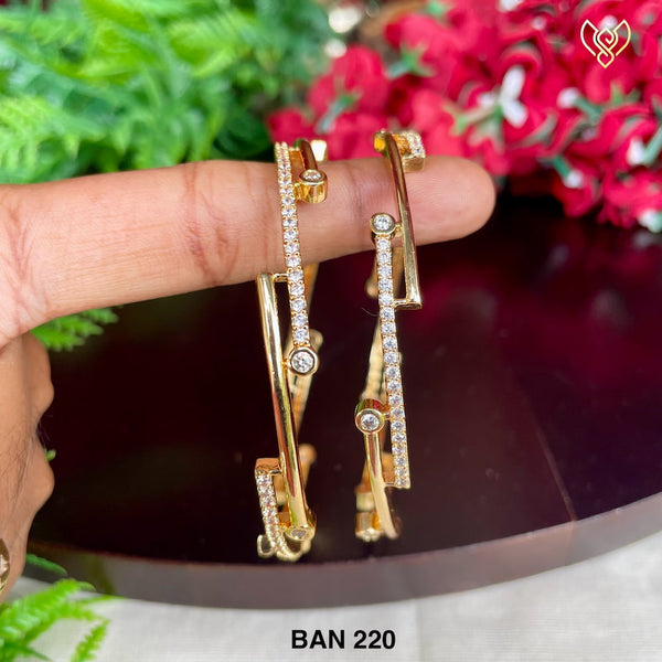 BAN 220