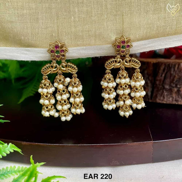 EAR 220