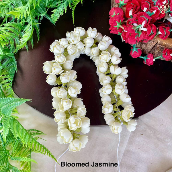 Bloomed jasmine