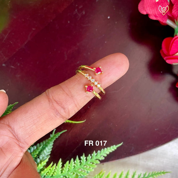 FR 017