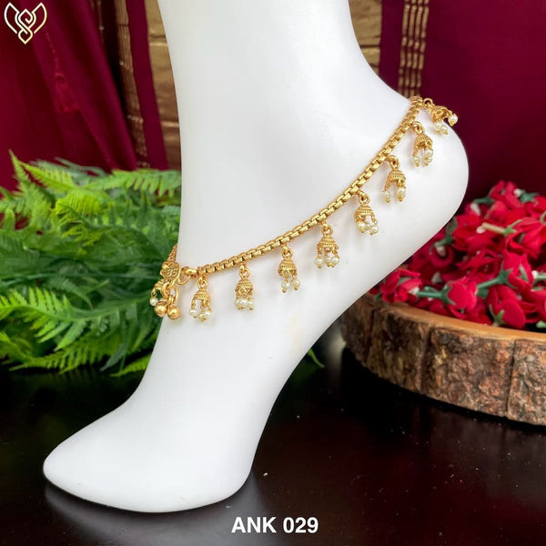 ANK 029