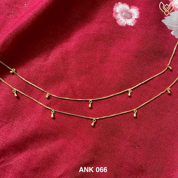 ANK 066