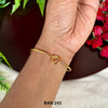 BAN 243