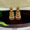 EAR 207