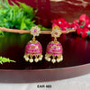 EAR 480