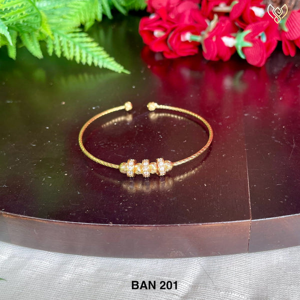 BAN 201