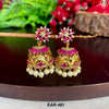 EAR 481