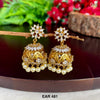 EAR 481