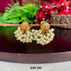 EAR 399