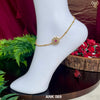 ANK 069
