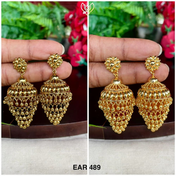 EAR 489