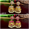 EAR 481