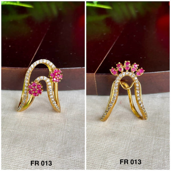 FR 013