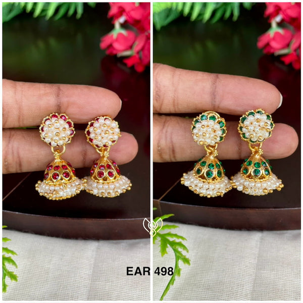EAR 498