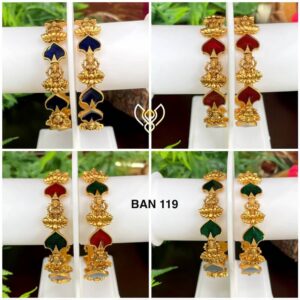 BAN 119