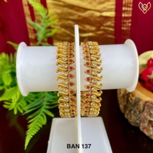 BAN 137