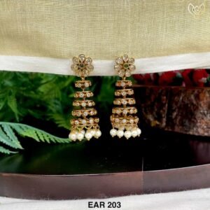 EAR 203