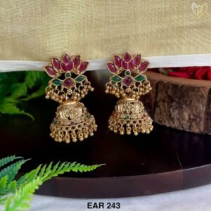 EAR 243