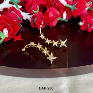 EAR 230