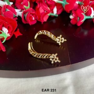 EAR 231
