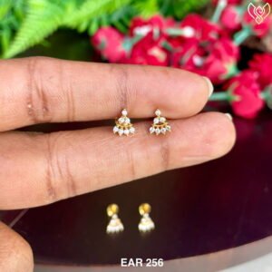 EAR 256(T)